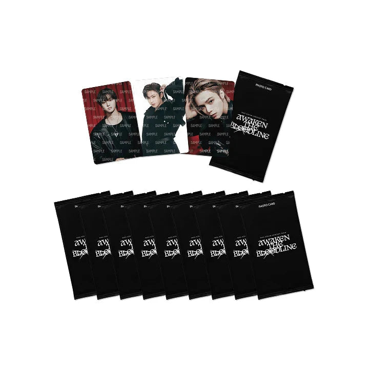 &TEAM - PHOTO CARD (2025 CONCERT TOUR 'AWAKEN THE BLOODLINE' OFFICIAL MD) Nolae