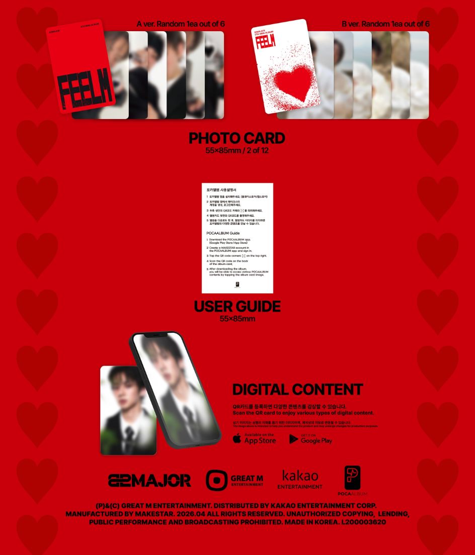 82MAJOR - FEELM Nolae