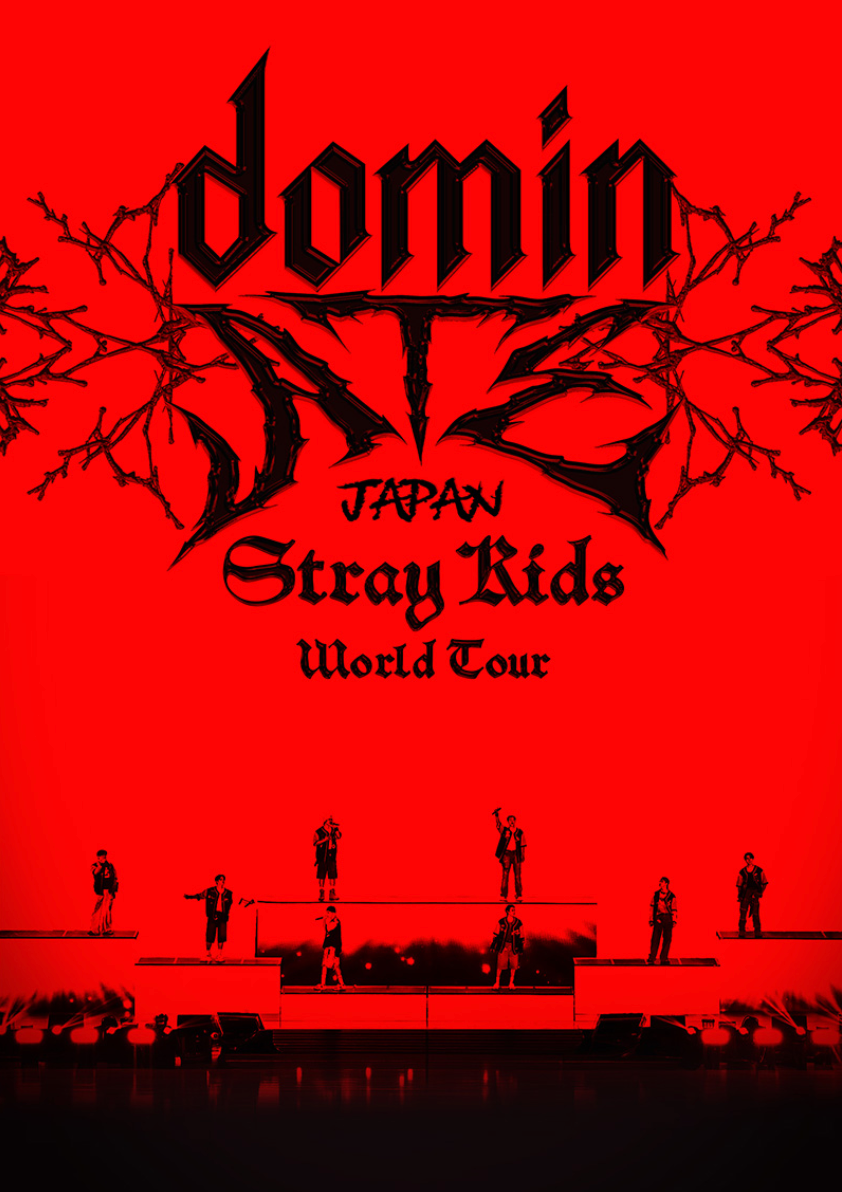STRAY KIDS - WORLD TOUR 'DOMINATE JAPAN' (BLU-RAY)