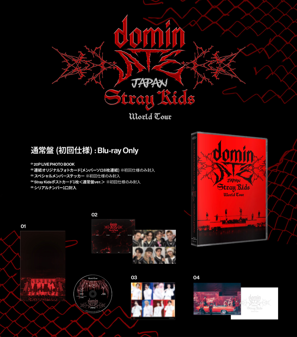 STRAY KIDS - WORLD TOUR 'DOMINATE JAPAN' (BLU-RAY)