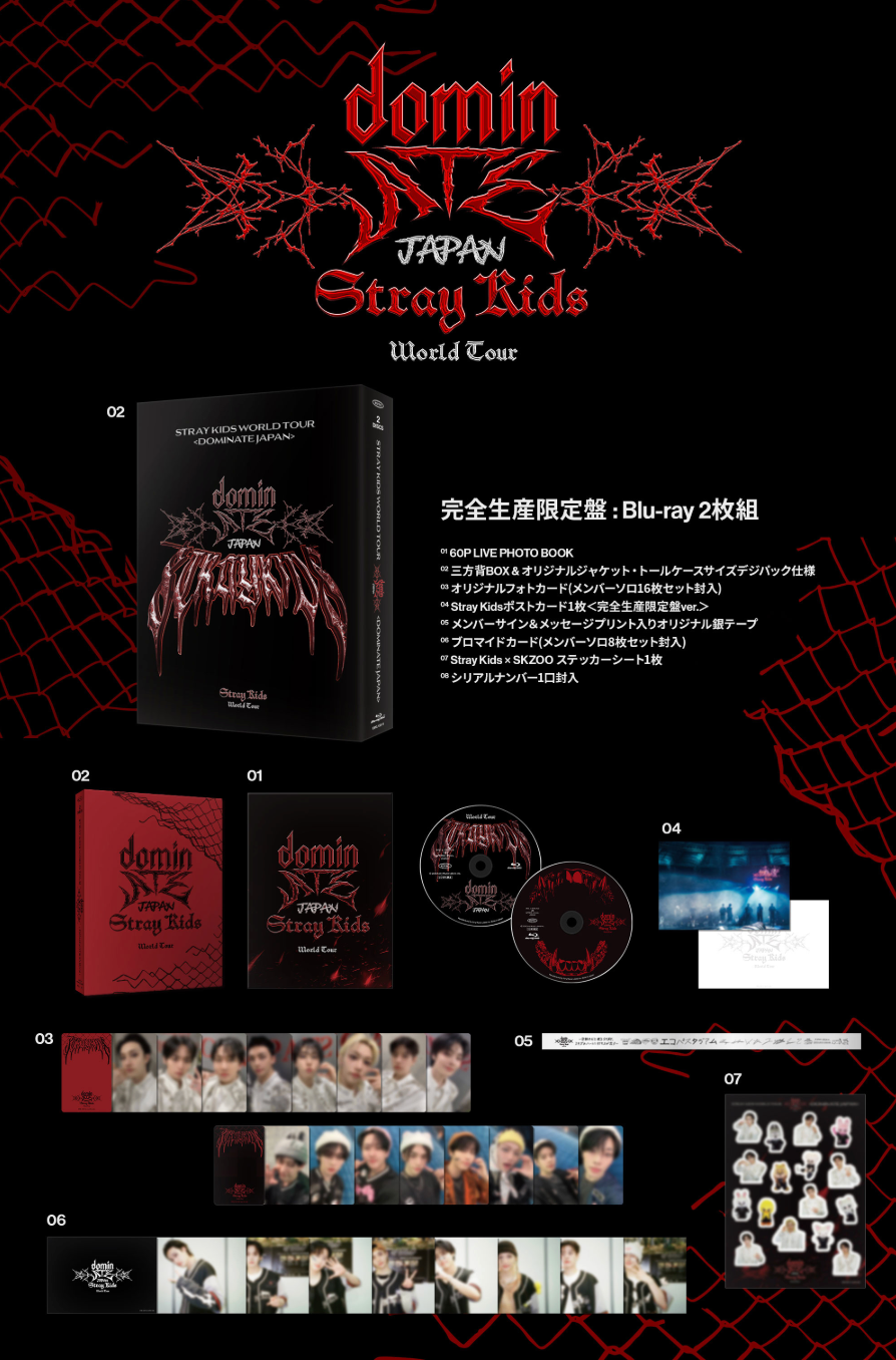 STRAY KIDS - WORLD TOUR 'DOMINATE JAPAN' (BLU-RAY)