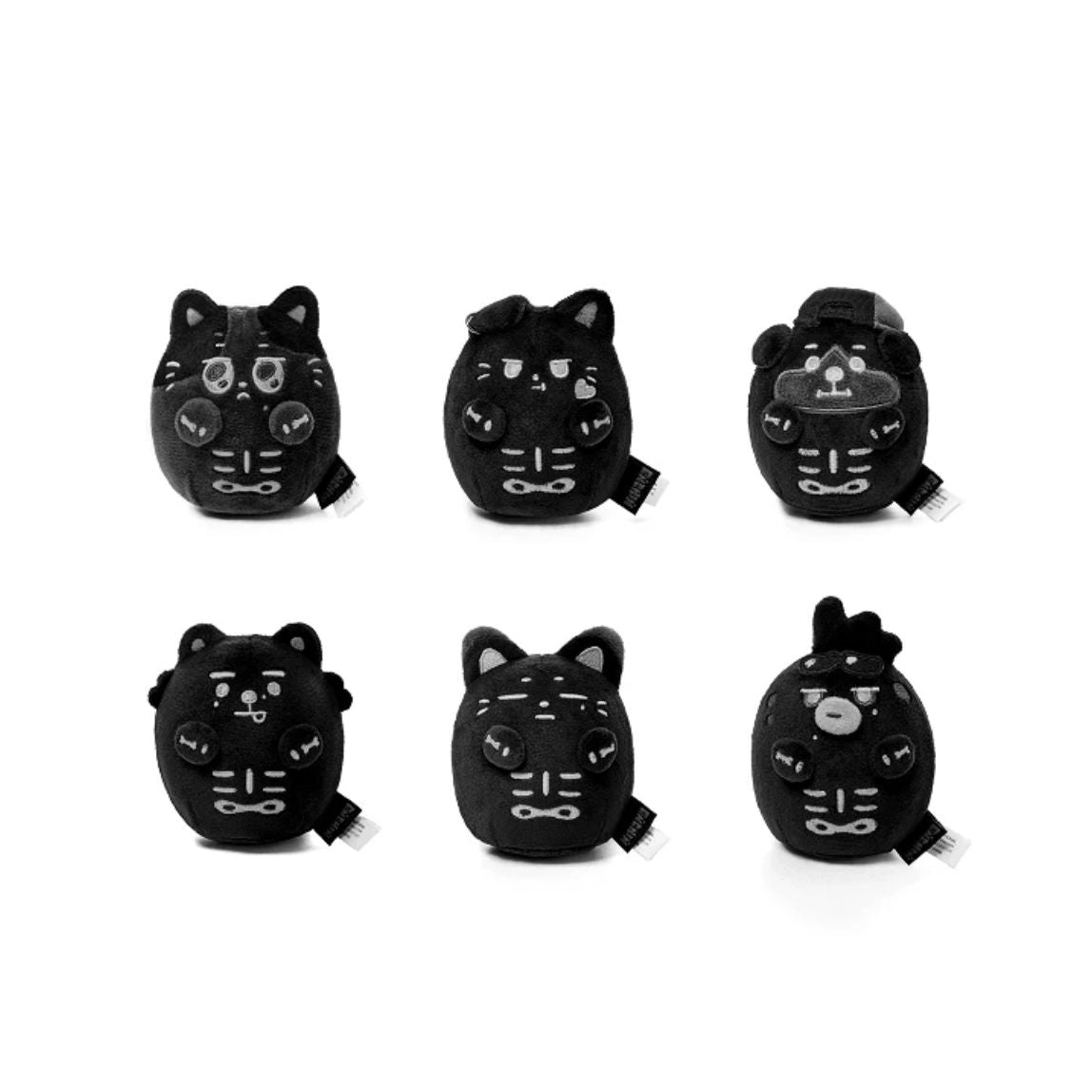 ENHYPEN - SPOOKY ENCHIN OFFICIAL MD Nolae