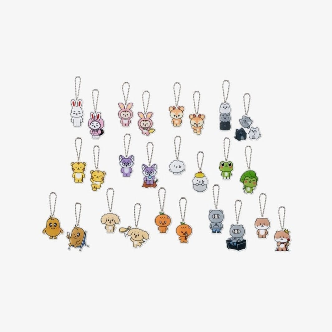 SEVENTEEN - ACRYLIC KEYRING LUCKY DRAW ('MINITEEN' MD)