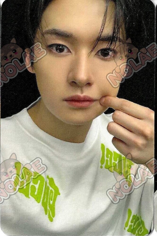 STRAY KIDS - KARMA - POB APPLE MUSIC PHOTOCARD Nolae