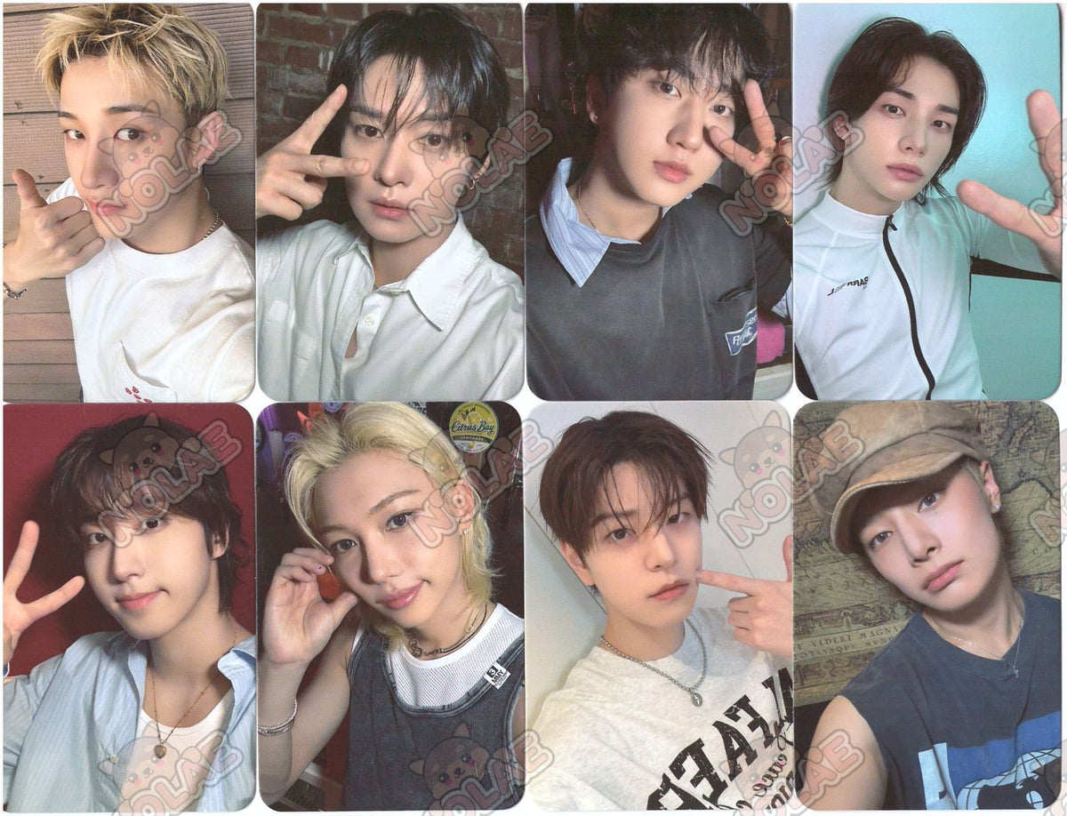 STRAY KIDS - THIS & THAT - DEAR MY MUSE PHOTOCARD Nolae