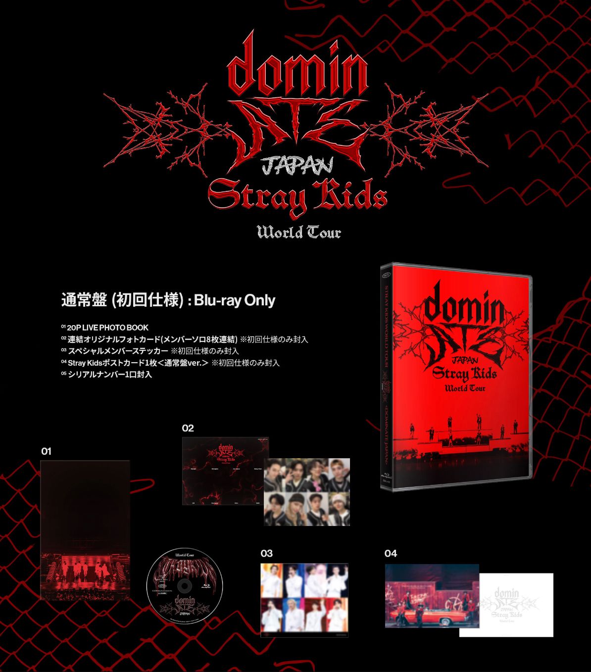 STRAY KIDS - WORLD TOUR 'DOMINATE JAPAN' (BLU-RAY) + HMV Gift
