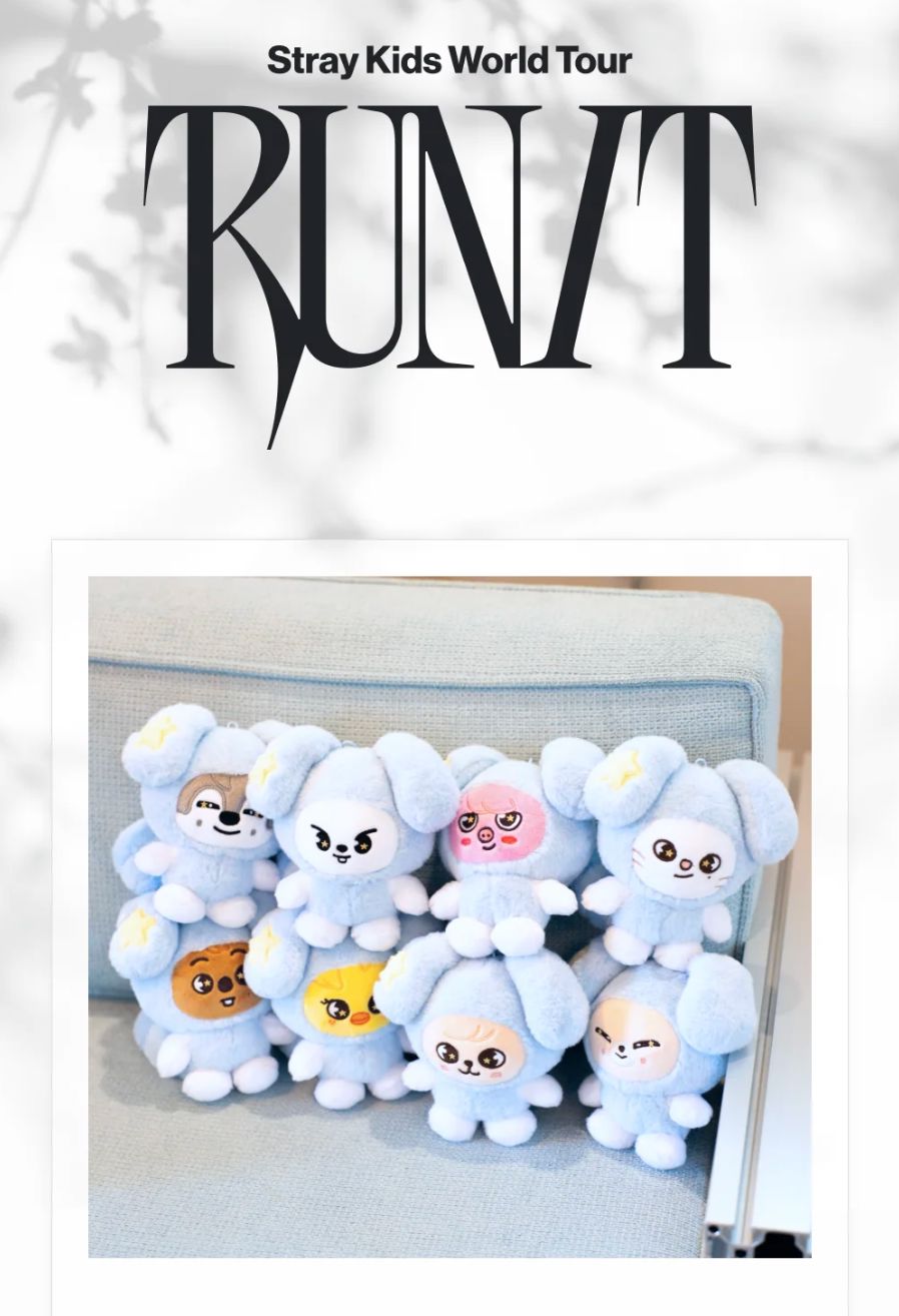 STRAY KIDS - WORLD TOUR 'RUN IT' MD Nolae