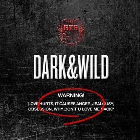 BTS - DARK & WILD