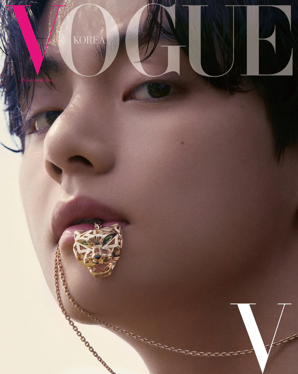 BTS - V SURPRISE COVER VOGUE (10/22) Nolae Kpop